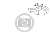 Klauenkupplung GS 38-ST 79 / B28H7-NnD (ROTEX®)