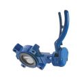 Anflanschklappe 2-1/2"-150 lbs GGG40/GGG40/NBR